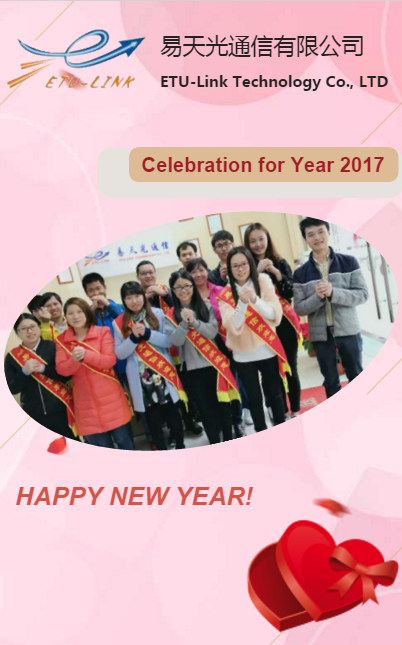 Celebration for Year 2017
