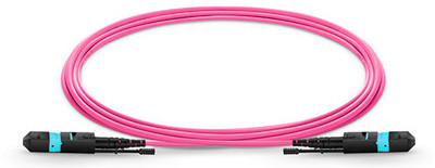 MTP/MPO optical fiber jumper