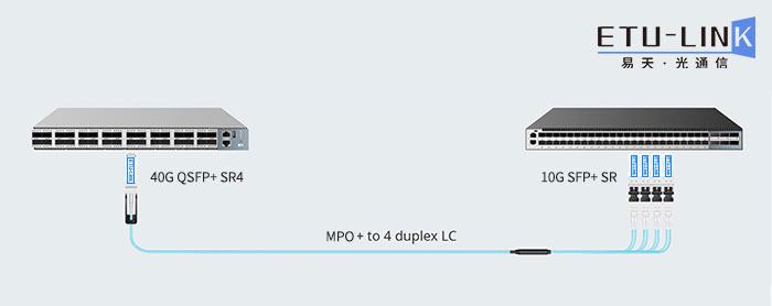 What is the cabling structure under the leaf ridge network?