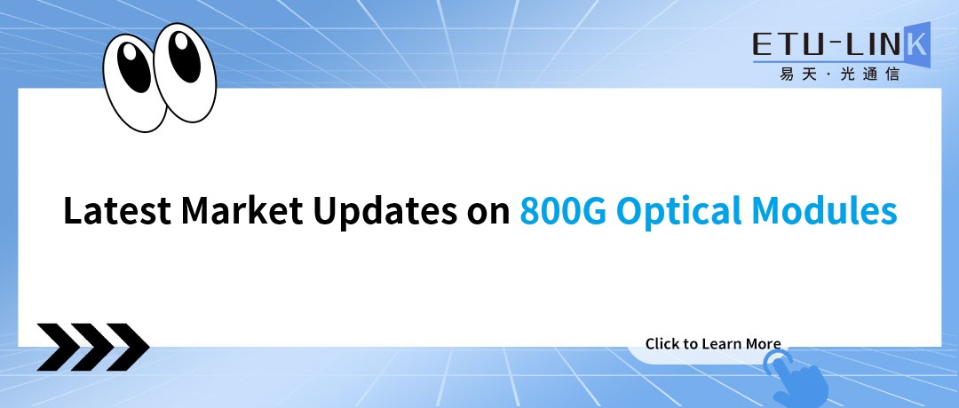 Latest Market Updates on 800G Optical Modules