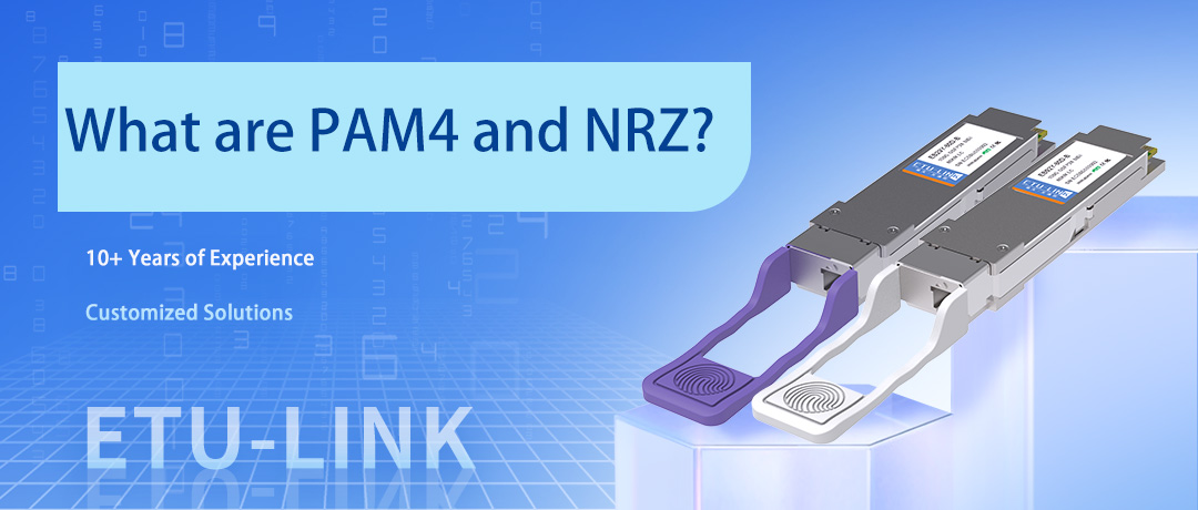 What are PAM4 and NRZ?