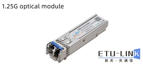 What do the G port, F port, E port and S port of the switch mean?