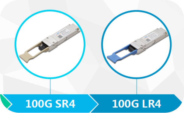 Who will become the market favorite between 200G and 400G?