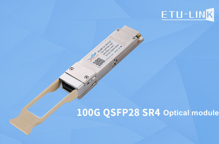 What are the core components of the optical module?