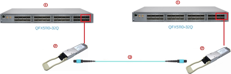 100GBase SR4 Optics Cabling Connection