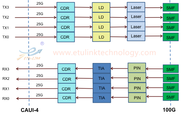 100G PSM4 VS 100G CWDM4 Optical Transceiver