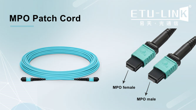 What is the difference between male and female MPO connector? What kind of Optical module is used?