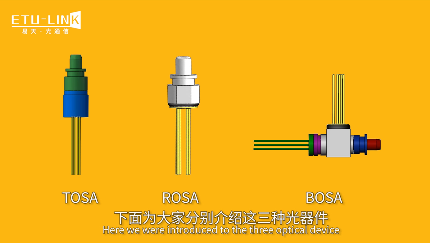 Optical Module Device Analysis